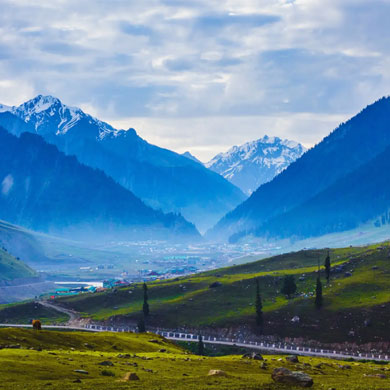 Kashmir